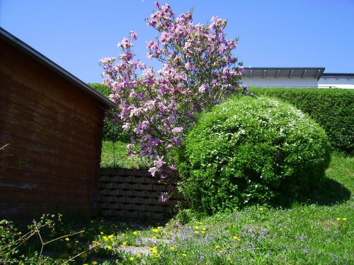 Hotel Gästehaus Brückler Jennersdorf Exterior foto